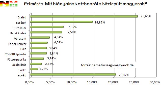 mit tanulhatnak a magyarok a nemetktol